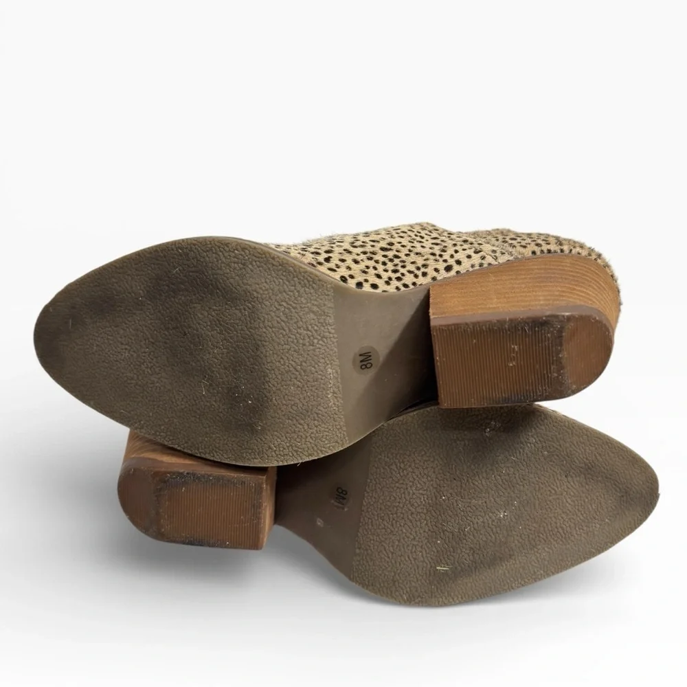 Coconuts by Matisse coconuts by